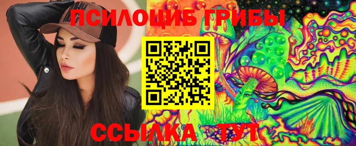 Галлюциногенные грибы Psilocybine cubensis Заводоуковск